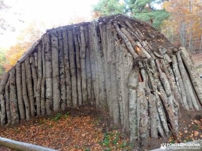 Hayedo Tejera Negra; cerezos valle del jerte la pedriza del manzanares; clubs en madrid parque natur